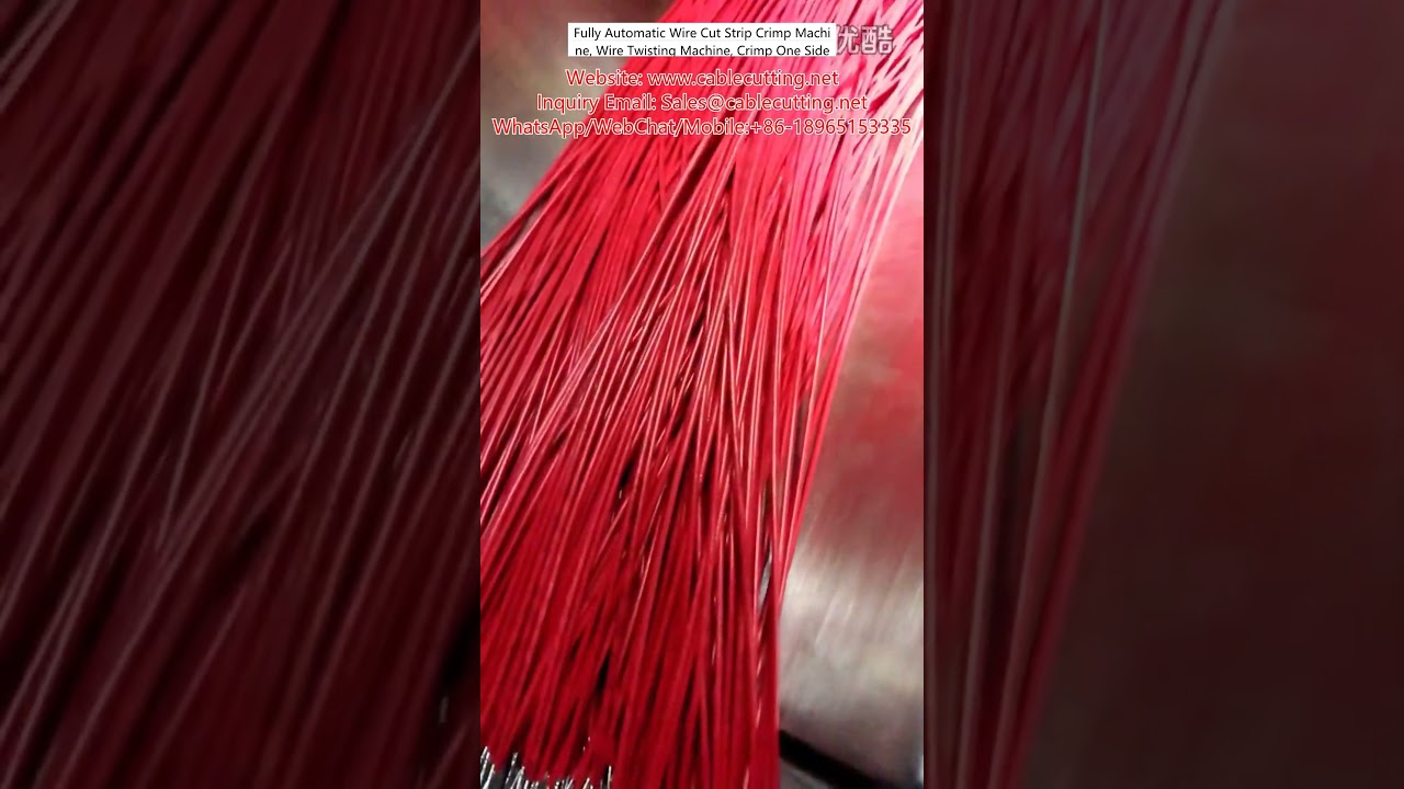 Fully Automatic Wire Cut Strip Crimp Machine, Wire Twisting Machine, Crimp One Side