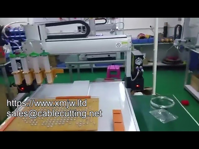 Customized Intelligent Automatic 3 Axis 4 Axis Glue Dispensing Machine