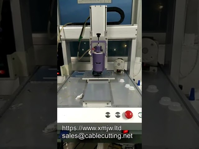 Automatic Bench Top Desktop 3 Axis Plc Programmable High Speed Speaker Glue Dispenser Syringe Glue D