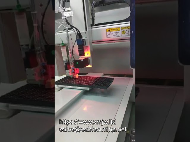 Oem Customized Three Axis Vision Glue Dispenser Robotic Computer Control Programming Visual Glue Dis