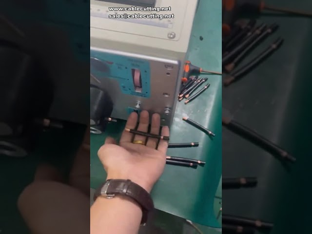 10-SQM-M Wire Cutting And Stripping Machine