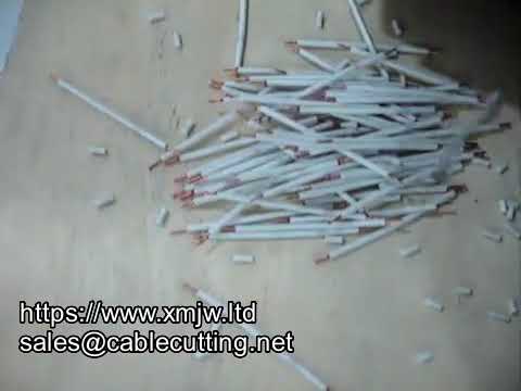 WPM-06 High-Efficiency Automatic Dual-Channel Wire Stripping, Cutting, and Twisting Machine