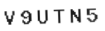 Verification Code Image