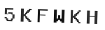 Verification Code Image