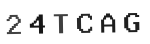 Verification Code Image