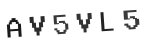 Verification Code Image