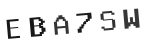 Verification Code Image