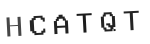 Verification Code Image