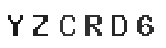 Verification Code Image